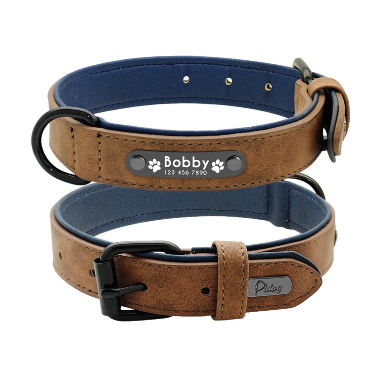 Personalised Dog Collar with Engraved Nameplate | Barkaroo