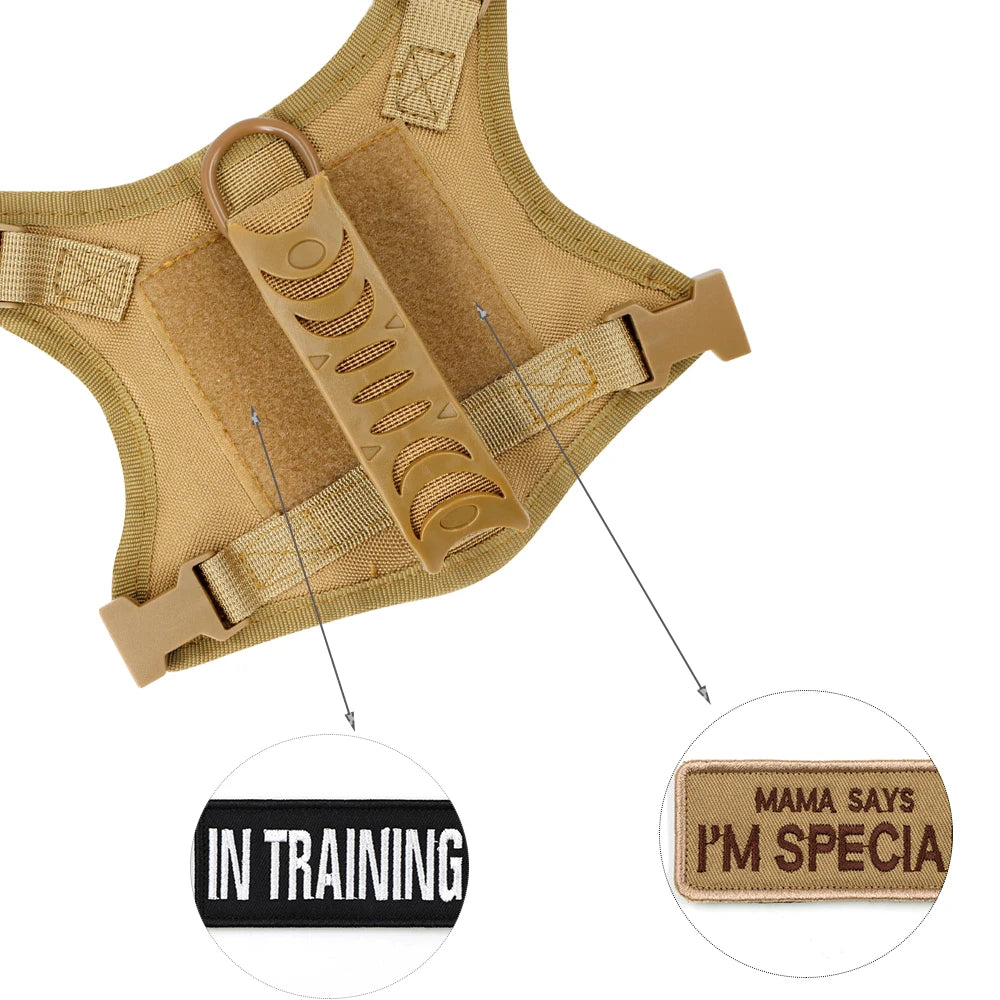 Compact Commander Harness, Top Look
