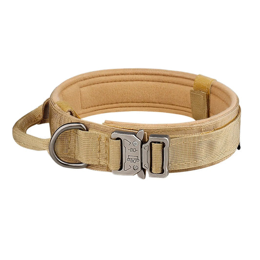 Dingo Duty Dog Collar 1