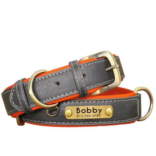 Fetch & Find Lea, Greyther Collar