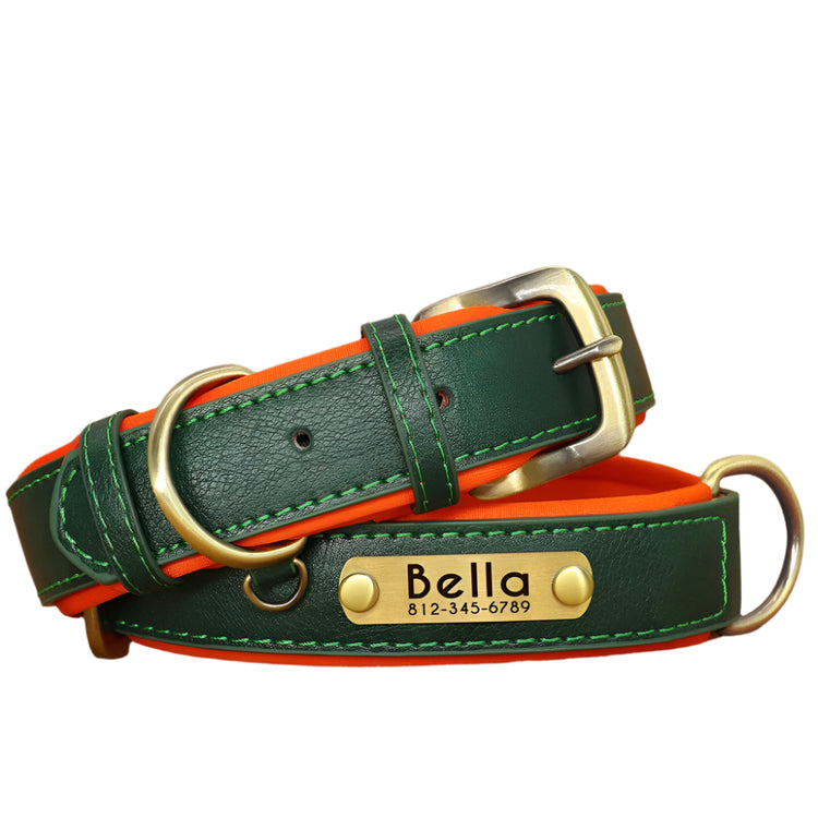 Engraved Nameplate Dog Collar | Fetch & Find