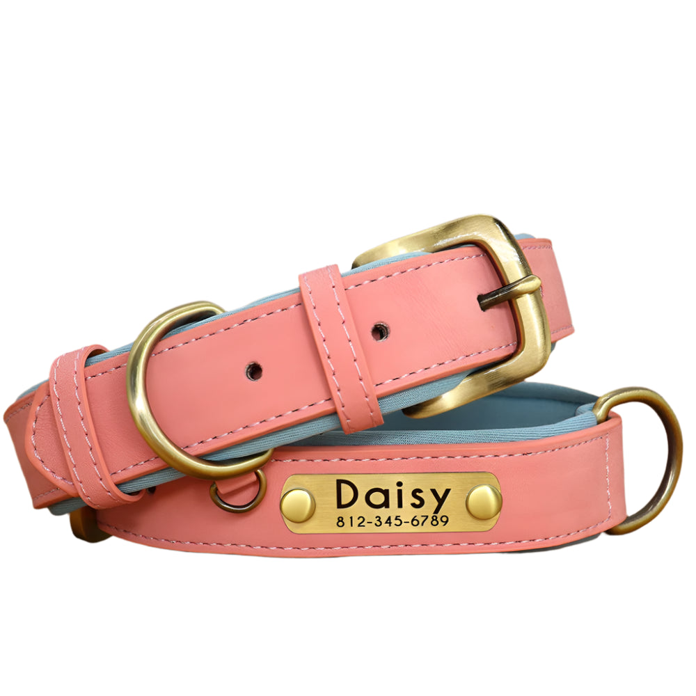 Fetch & Find Leather Collar, Pink