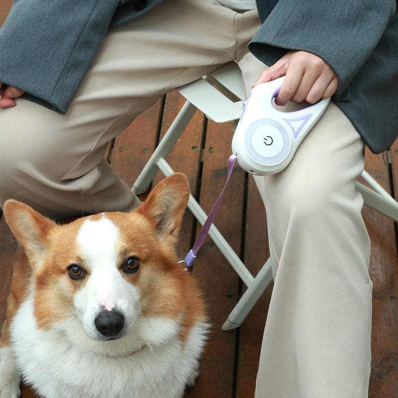 GlowStride Leash Set, Sample