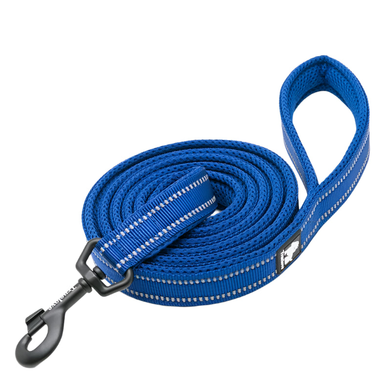 Truelove Soft Dog Pet Leash