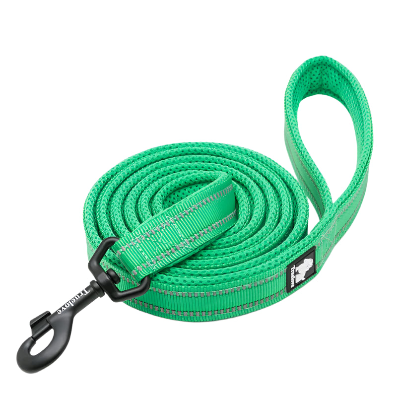 Truelove Soft Dog Pet Leash
