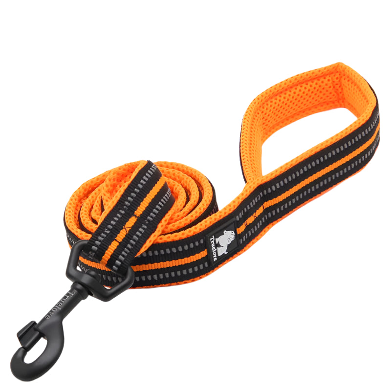 Truelove Soft Dog Pet Leash
