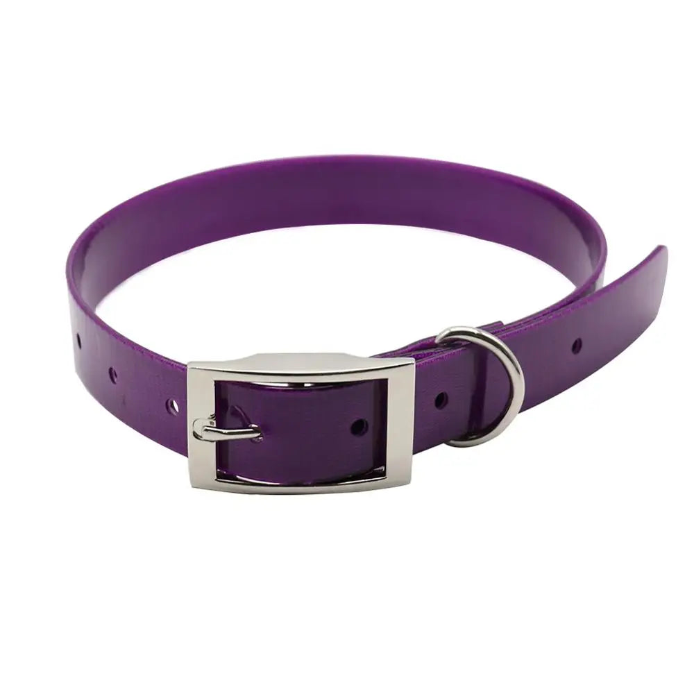 Aqua Guard Collar
