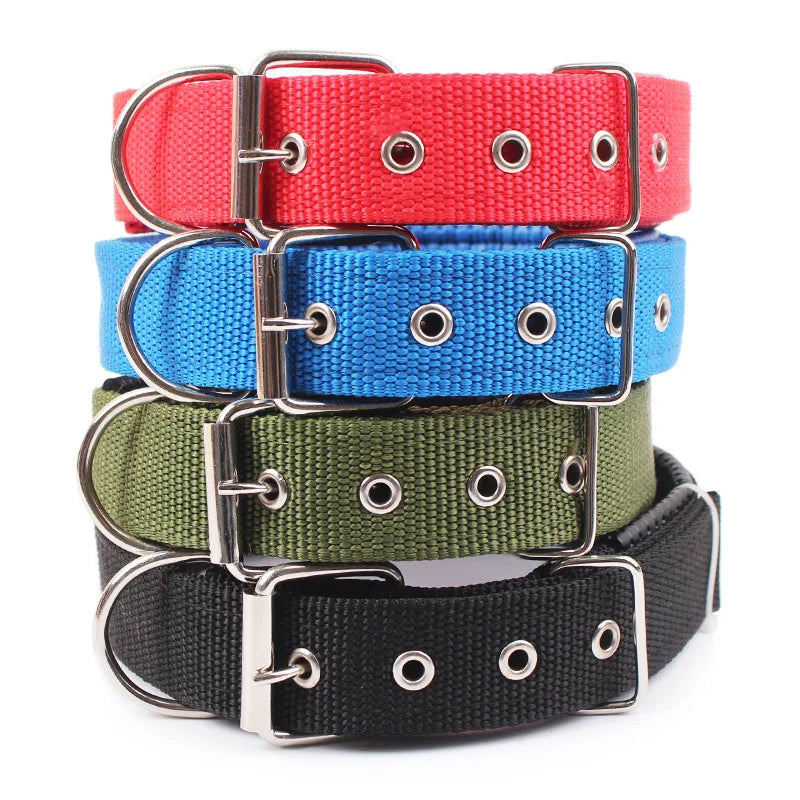 Wombat Wanderer Dog Collar