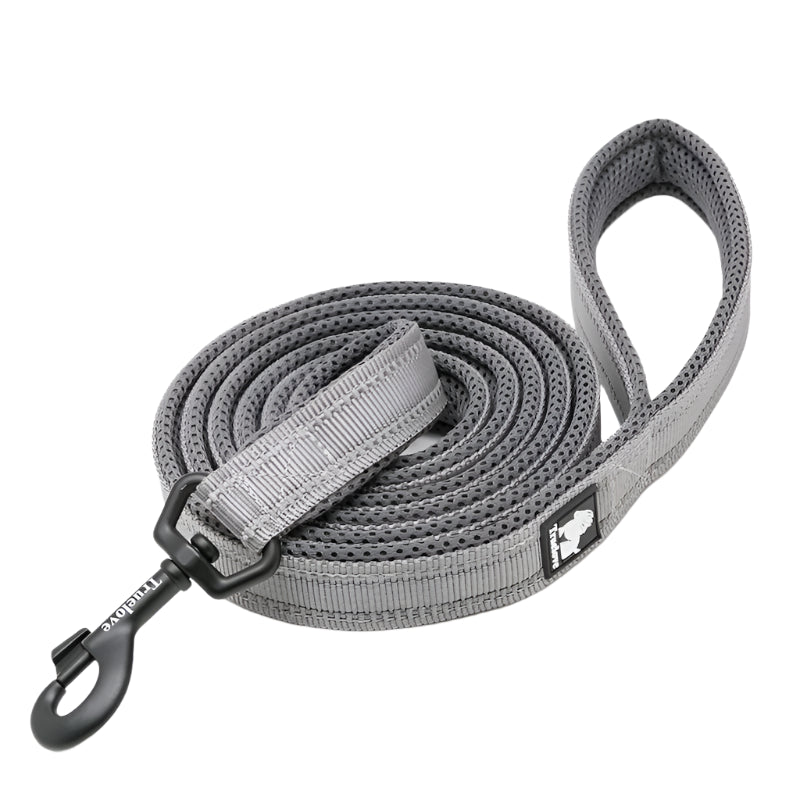 Truelove Soft Dog Pet Leash