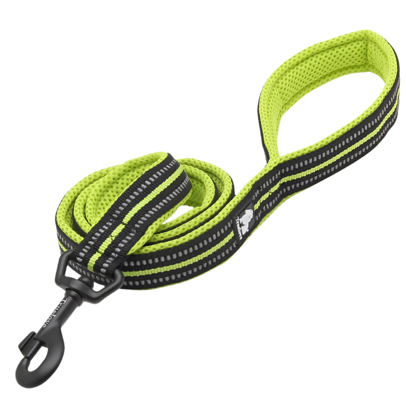 Truelove Soft Dog Pet Leash