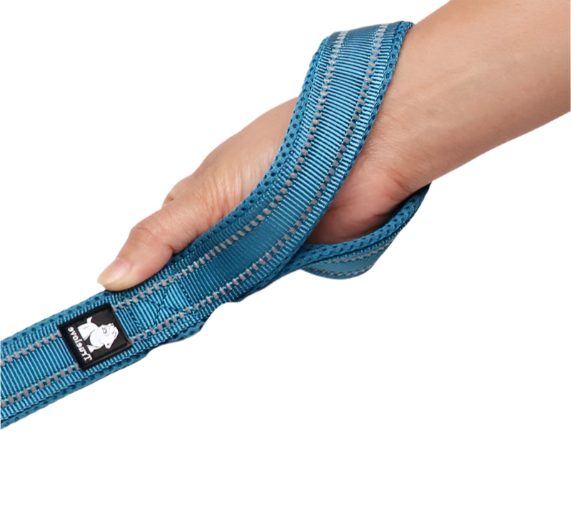 Truelove Soft Dog Pet Leash