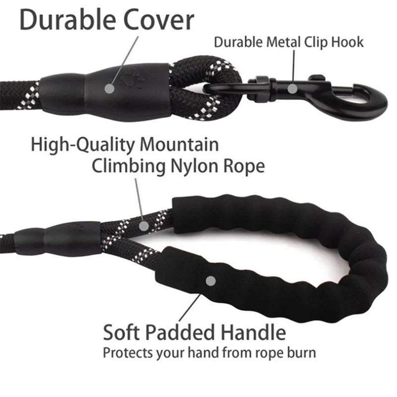 Harbour Night Reflective Leash, Close Up