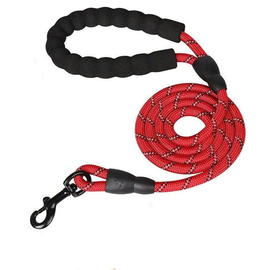 Harbour Night Reflective Leash, Red