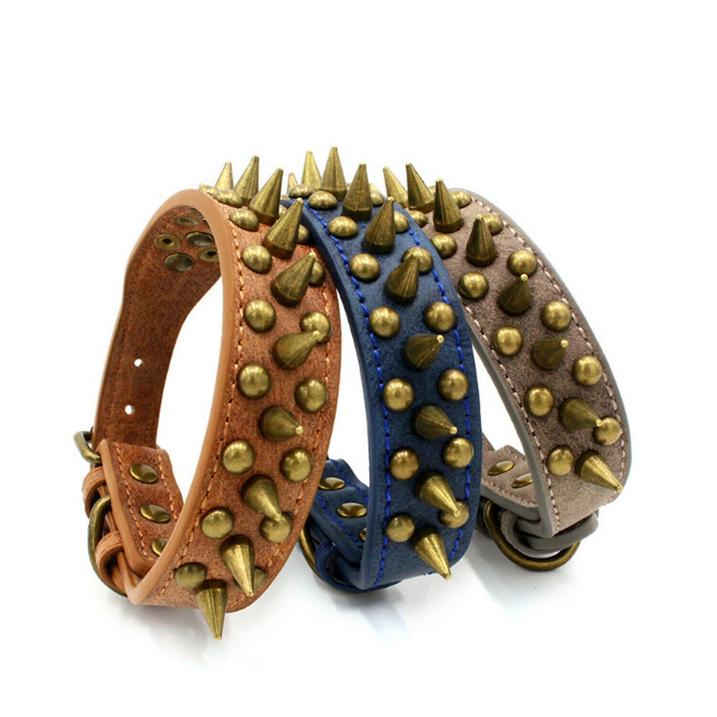 Harbour Spike Collar - Colors