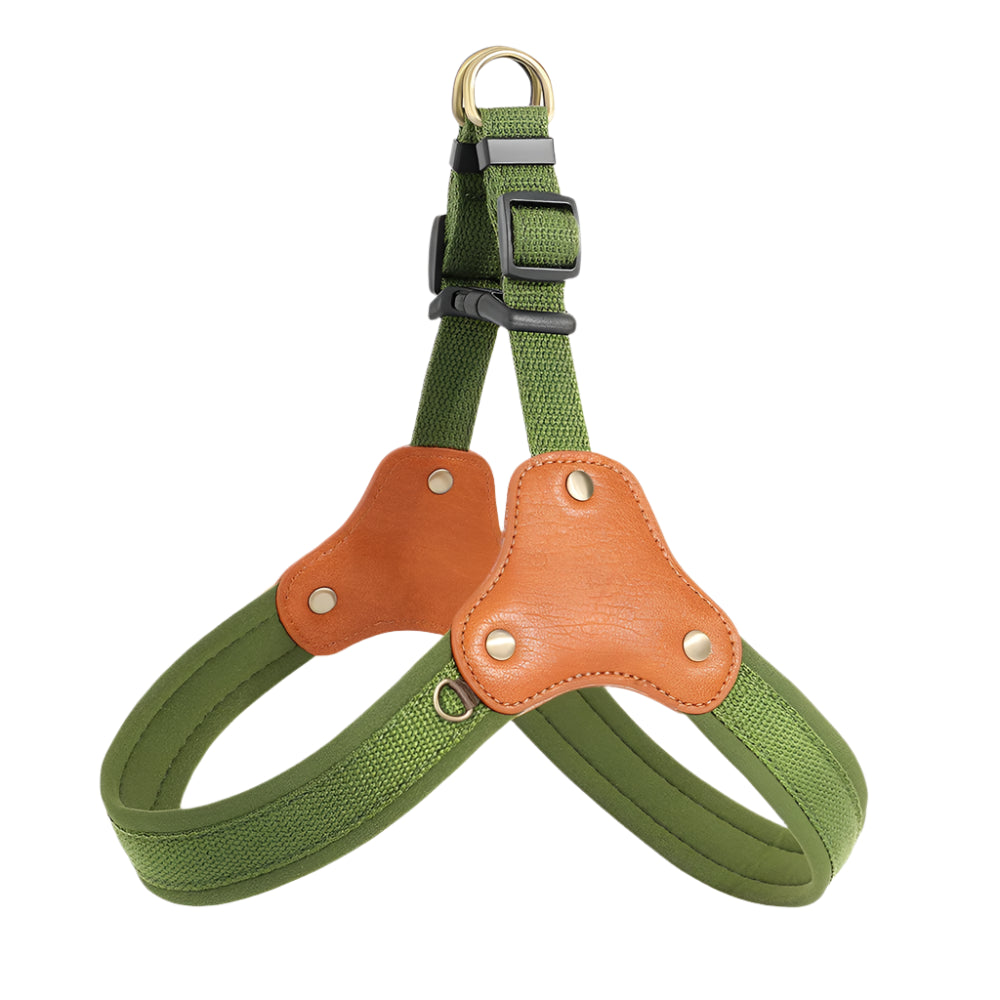Harbour Trail Harness