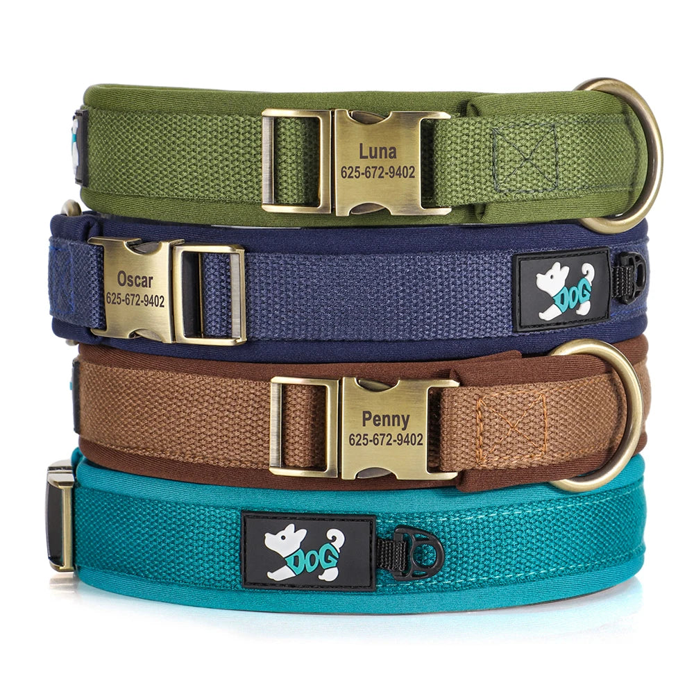 My Loyal Companion Custom Collar