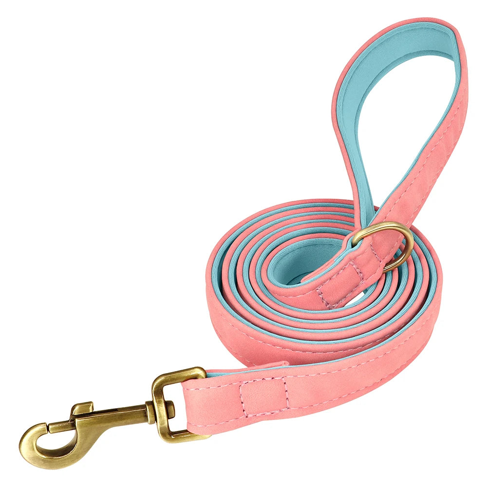 The EarthPet Leather Lead