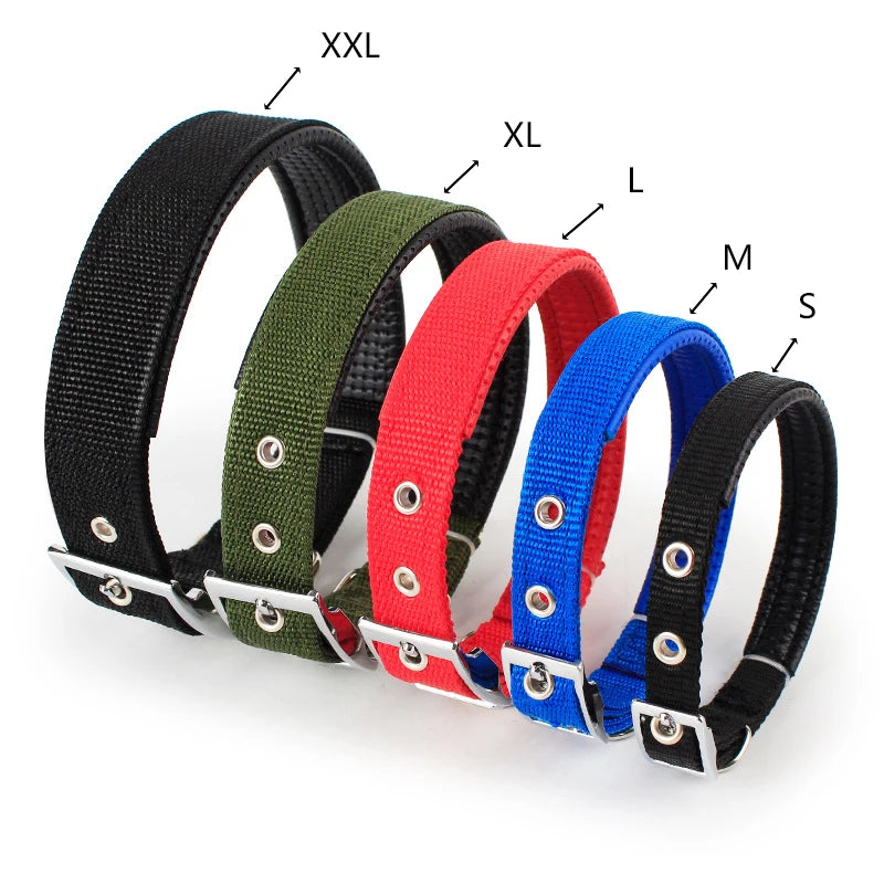 Wombat Wanderer Dog Collar