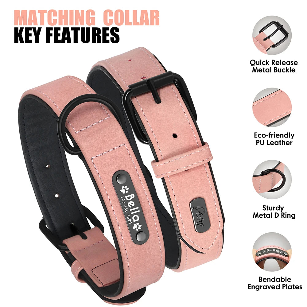 Barkaroo Custom Dog Collar