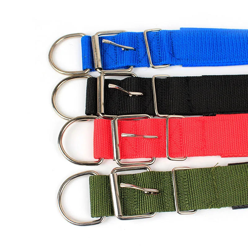 Wombat Wanderer Dog Collar