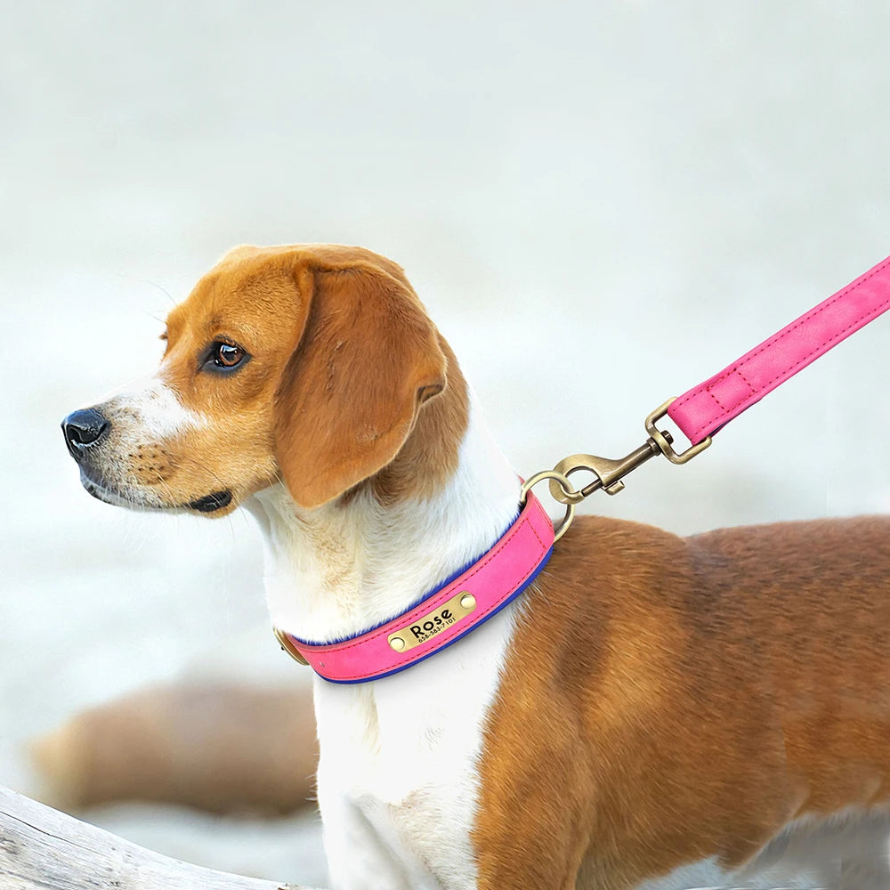 The EarthPet Leather Lead