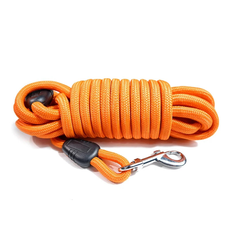 The Dingo Drift Leash