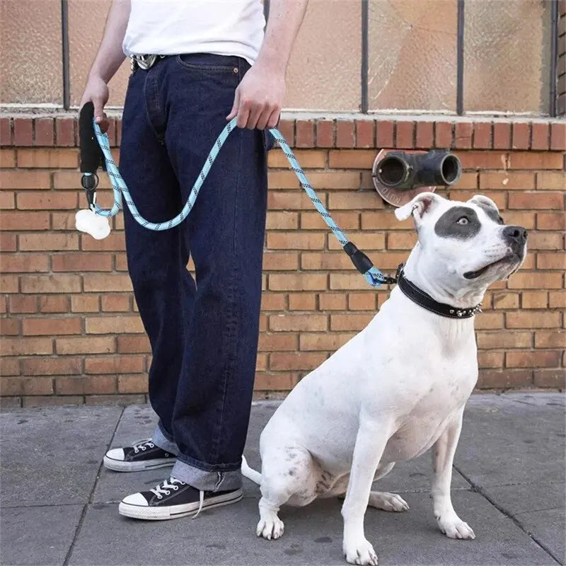 Harbour Night Reflective Leash