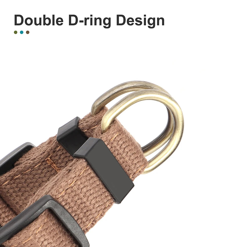 Harbour Trail Harness