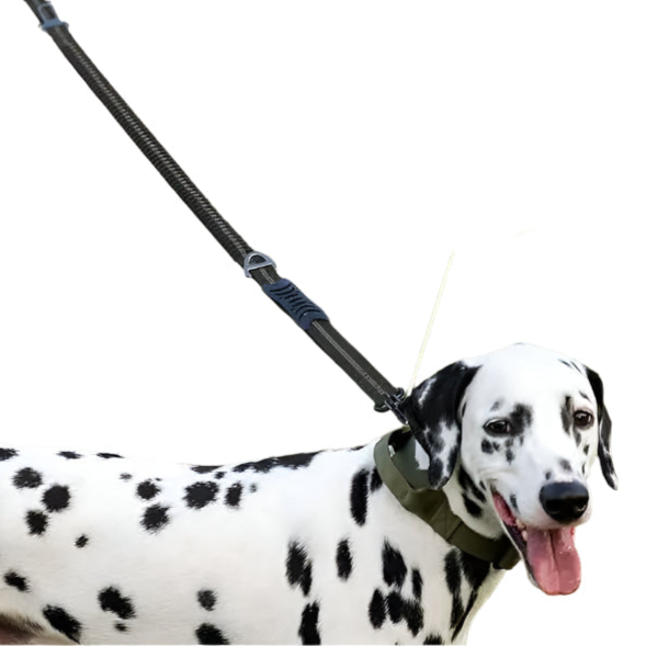 The Outback Explorer Leash