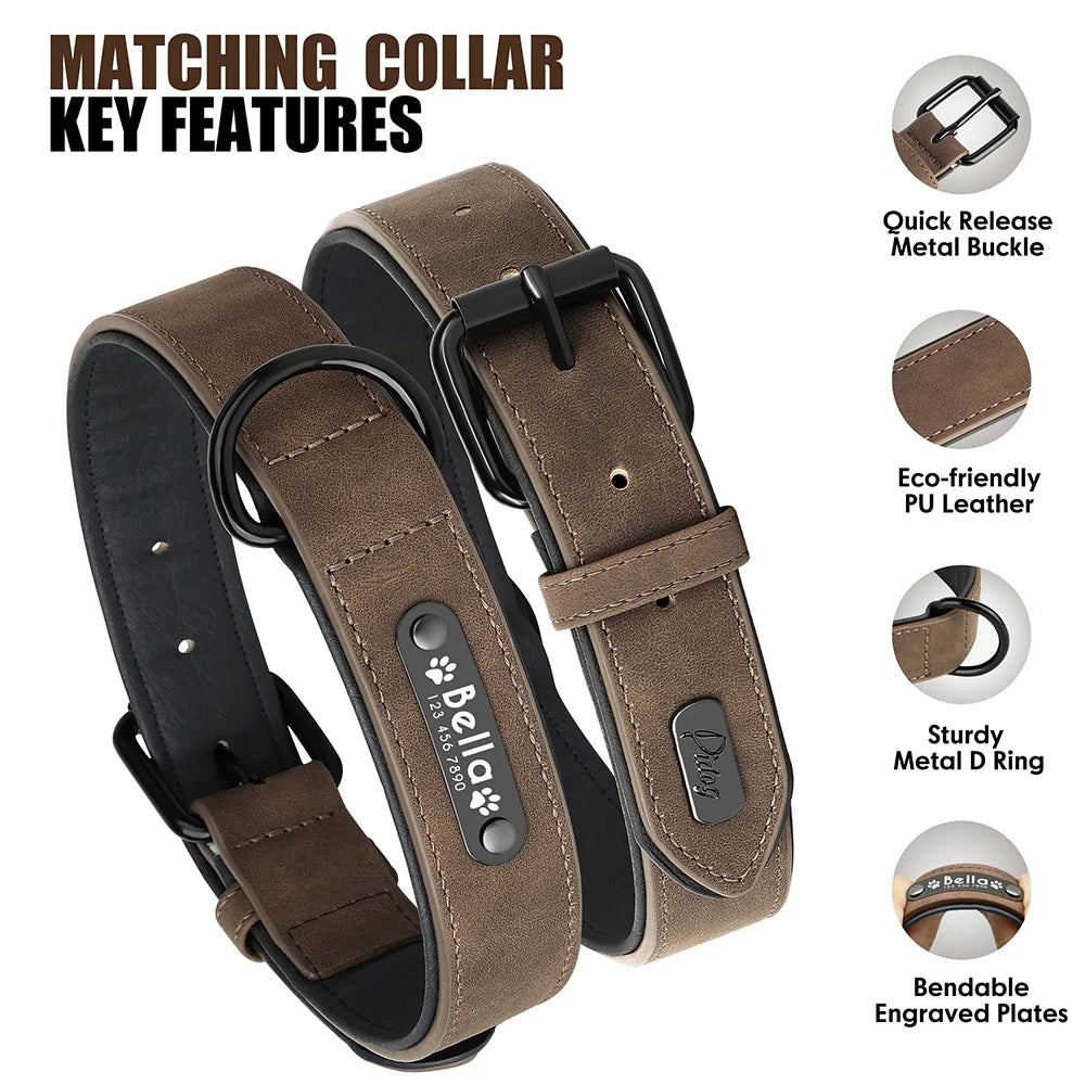 Barkaroo Custom Dog Collar