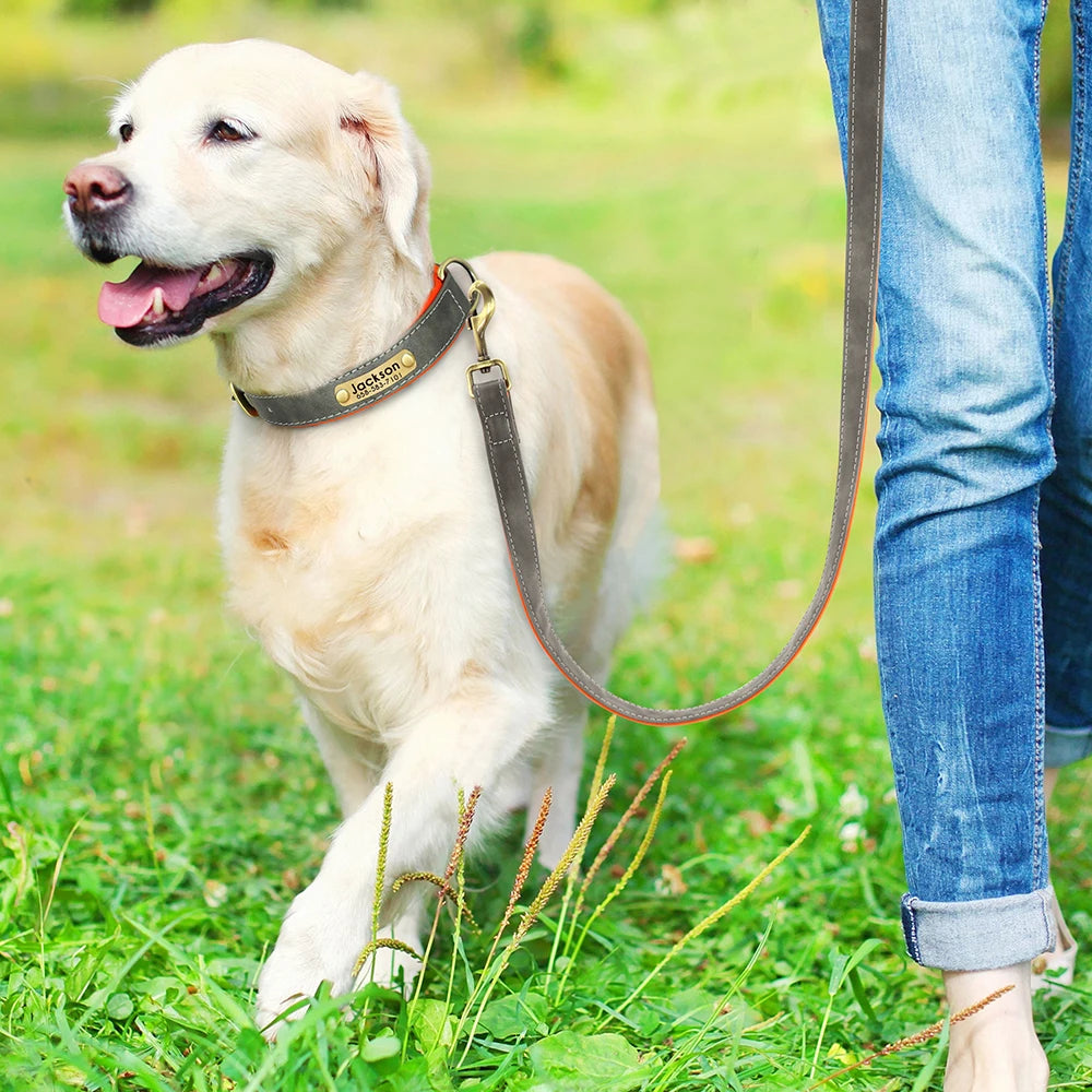 The EarthPet Leather Lead