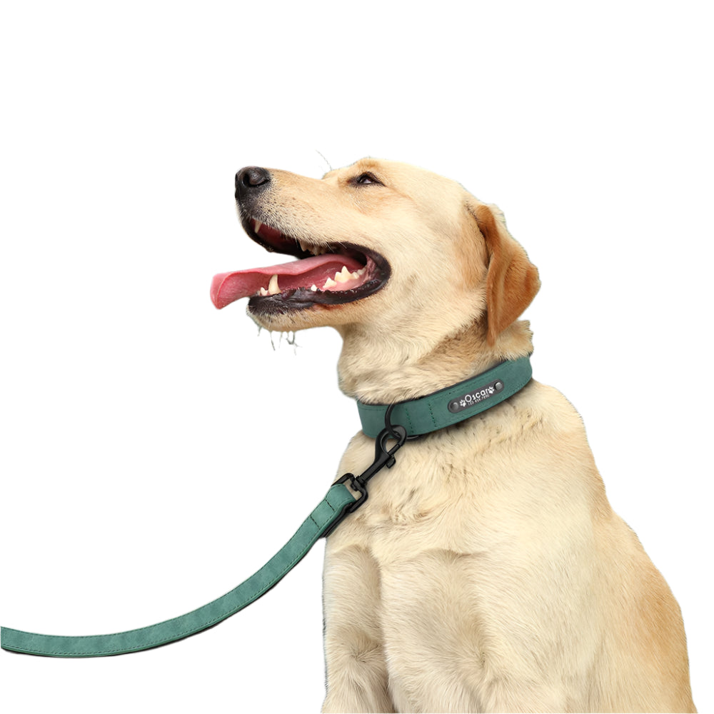 Barkaroo Custom Dog Collar