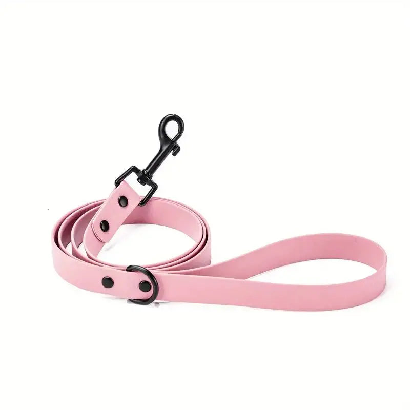 The Tidewalk Leash