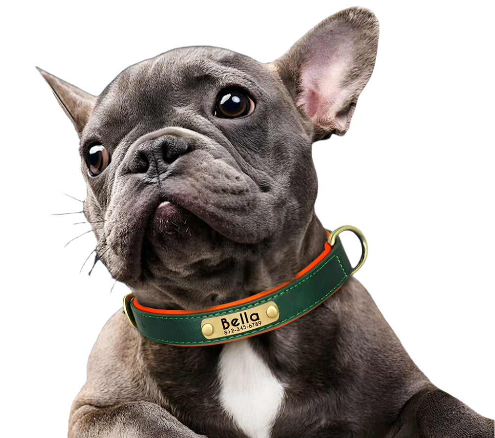 Fetch & Find Leather Collar