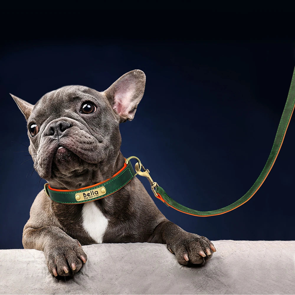 The EarthPet Leather Lead