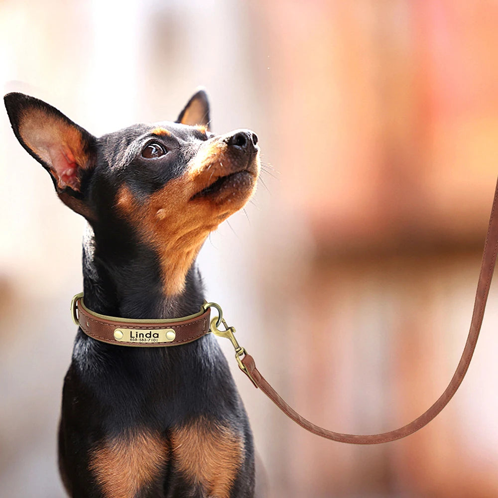 The EarthPet Leather Lead
