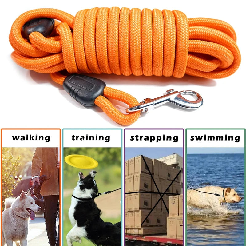 The Dingo Drift Leash