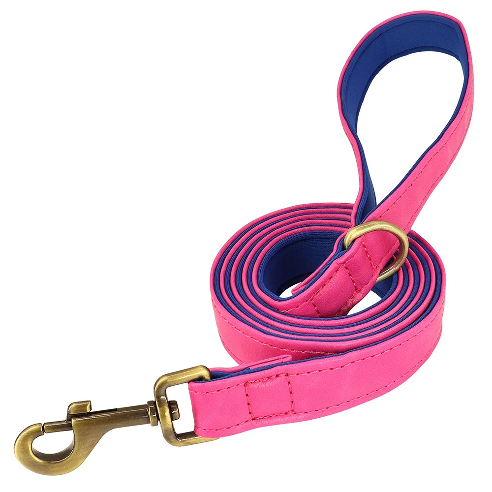 The EarthPet Leather Lead