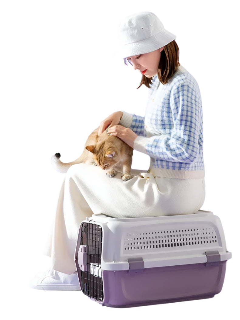 AirTail Pet Carrier