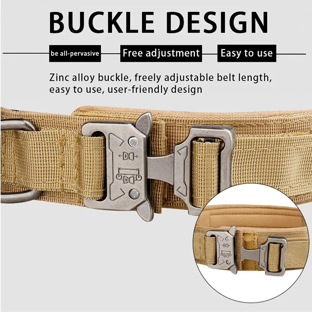 Dingo Duty Dog Collar