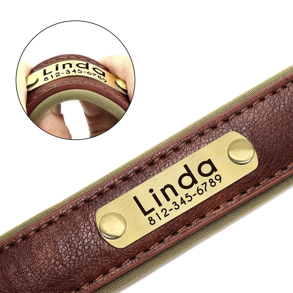 Fetch & Find Leather Collar