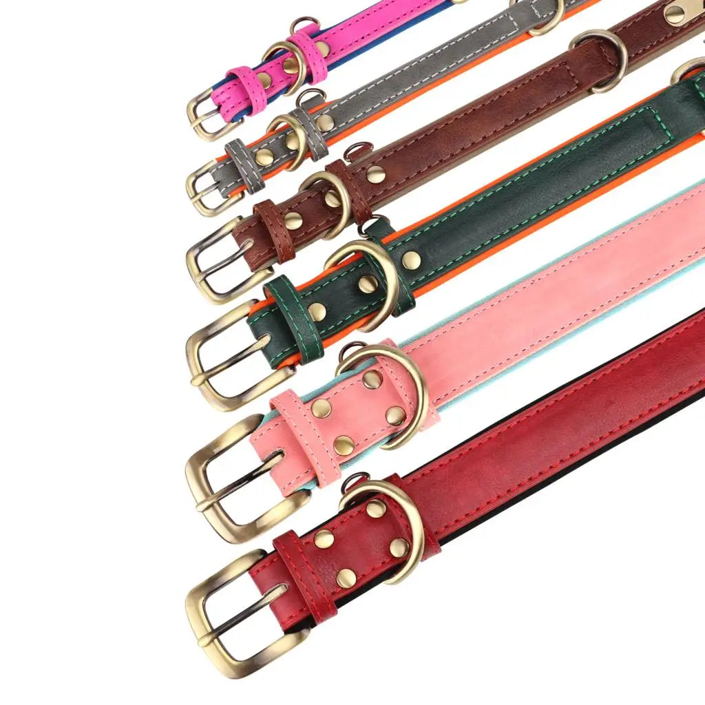 The EarthPet Leather Lead