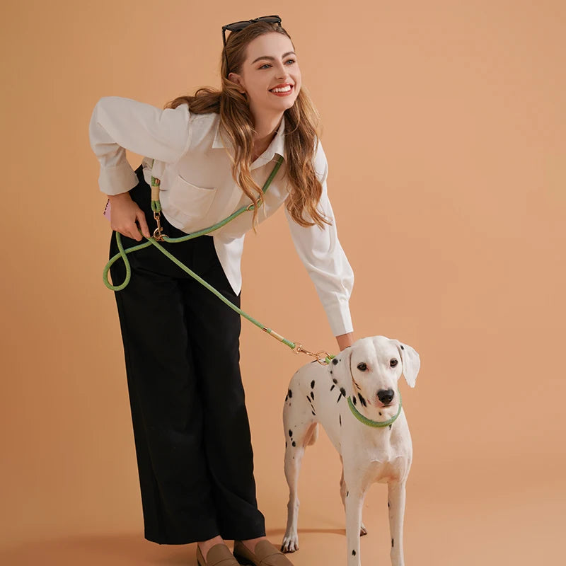 The WalkMate Leash