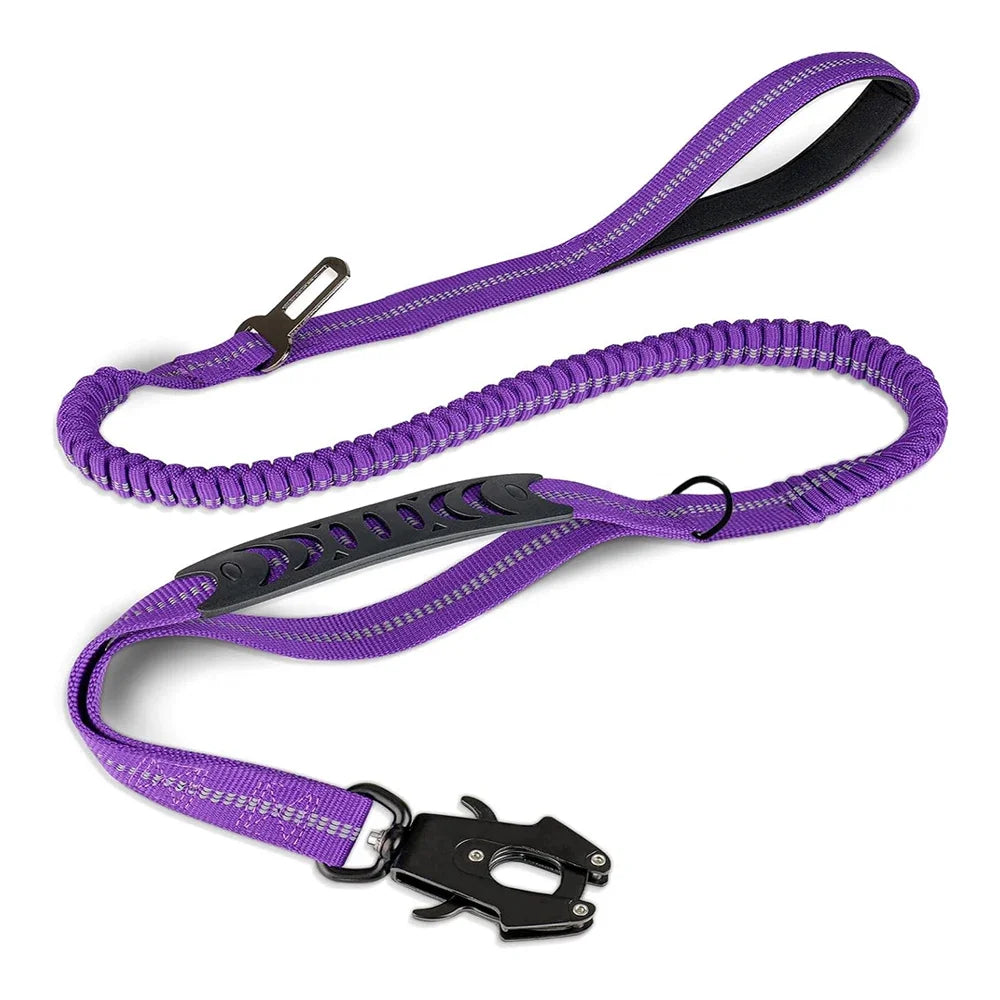 The Outback Explorer Leash, Purple
