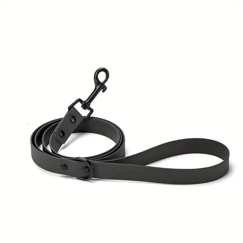 The Tidewalk Leash, Black