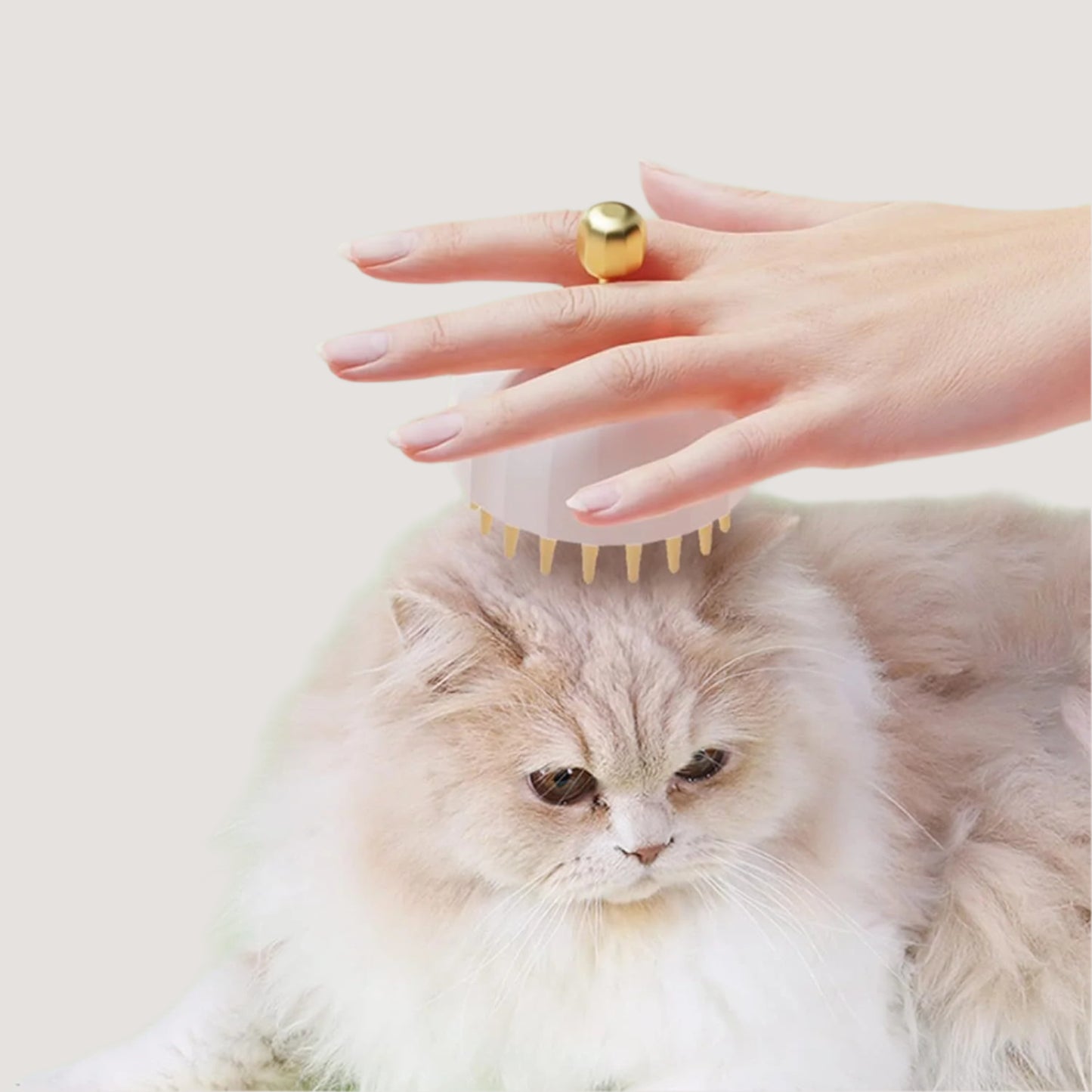 FurEase Massage Brush