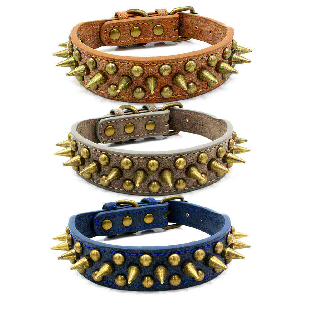 Harbour Spike Collar