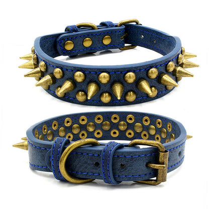 Harbour Spike Collar