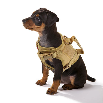 Compact Commander Harness - Sample