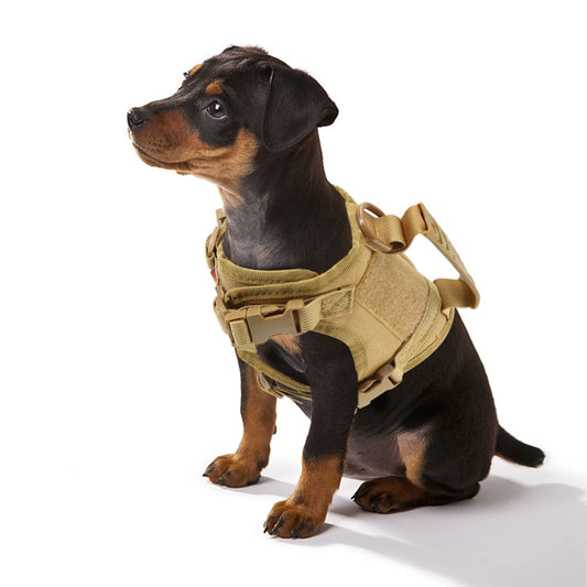 Compact Commander Harness - Sample